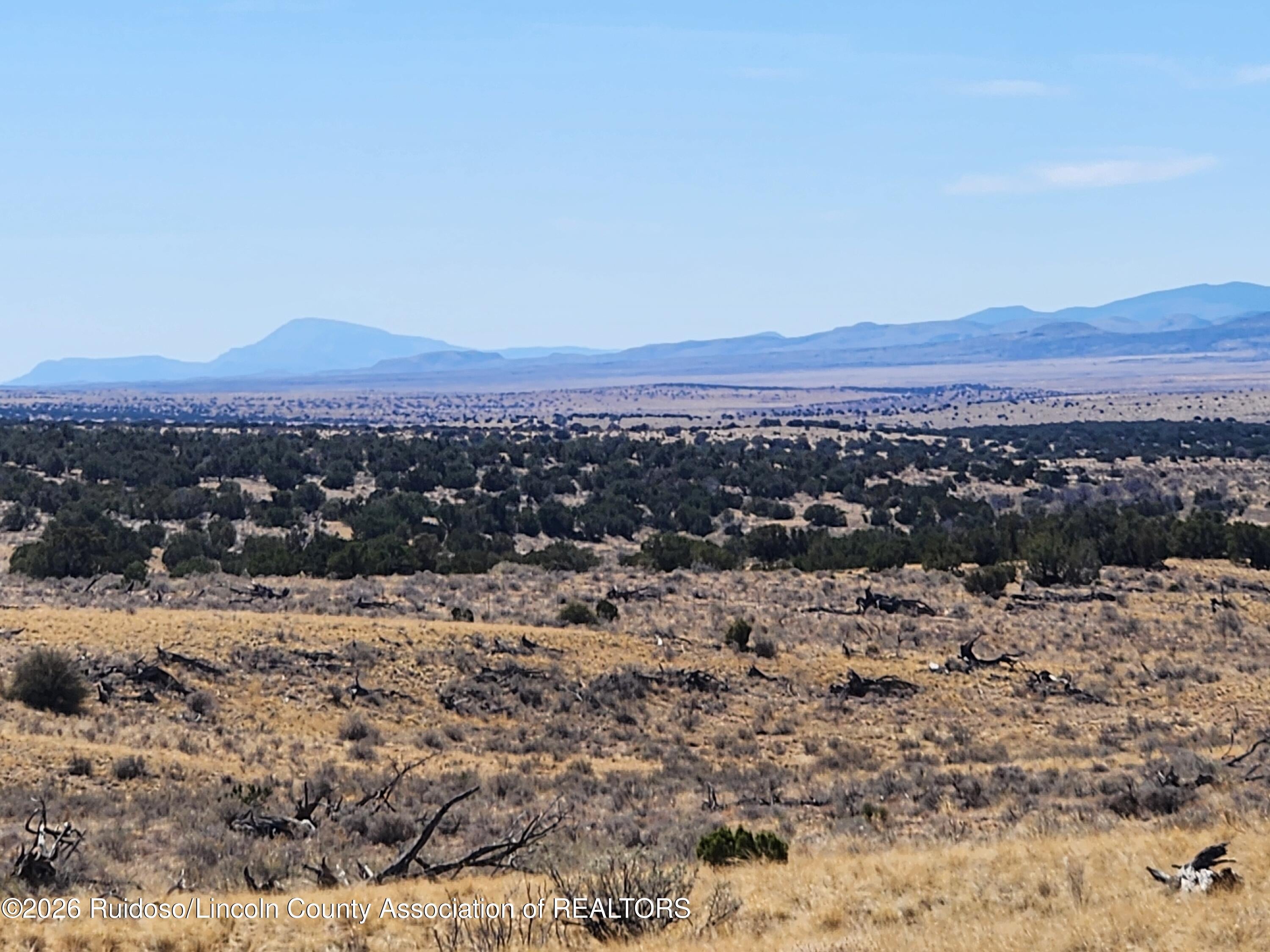 L135 Rnch Vw Loop Carrizozo, NM 88301 - Photo 5 of 15 Gallery Image 5
