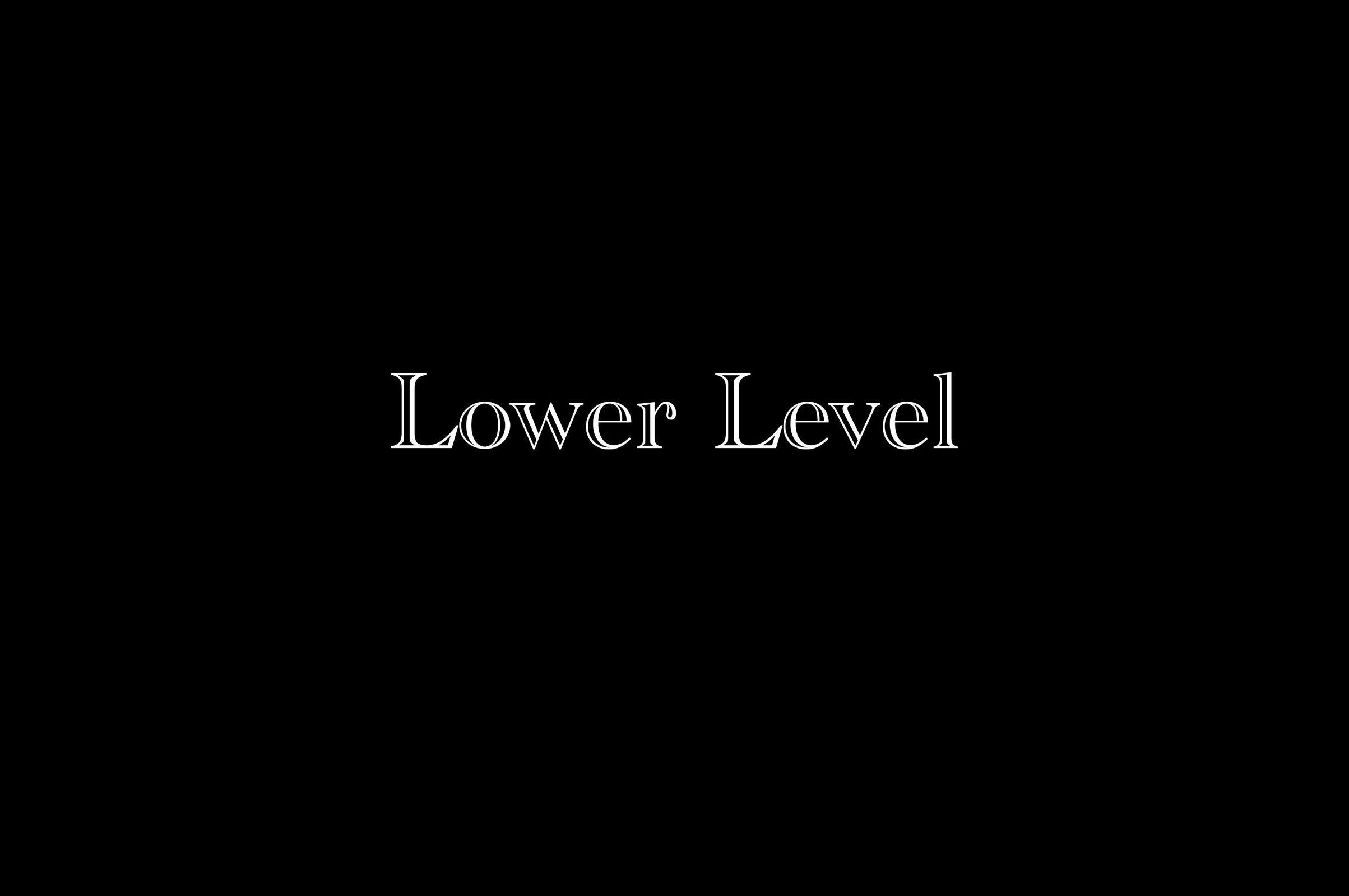 151 Stonebrook Road Amherst, VA 24521 - Photo 51 of 74 Lower Level
