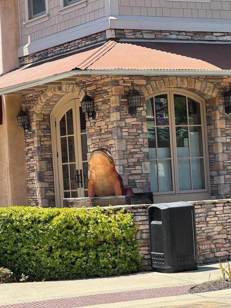 2253 Buffalo Way Copperopolis, CA 95228 - Photo 29 of 39 a front view of a house with garden