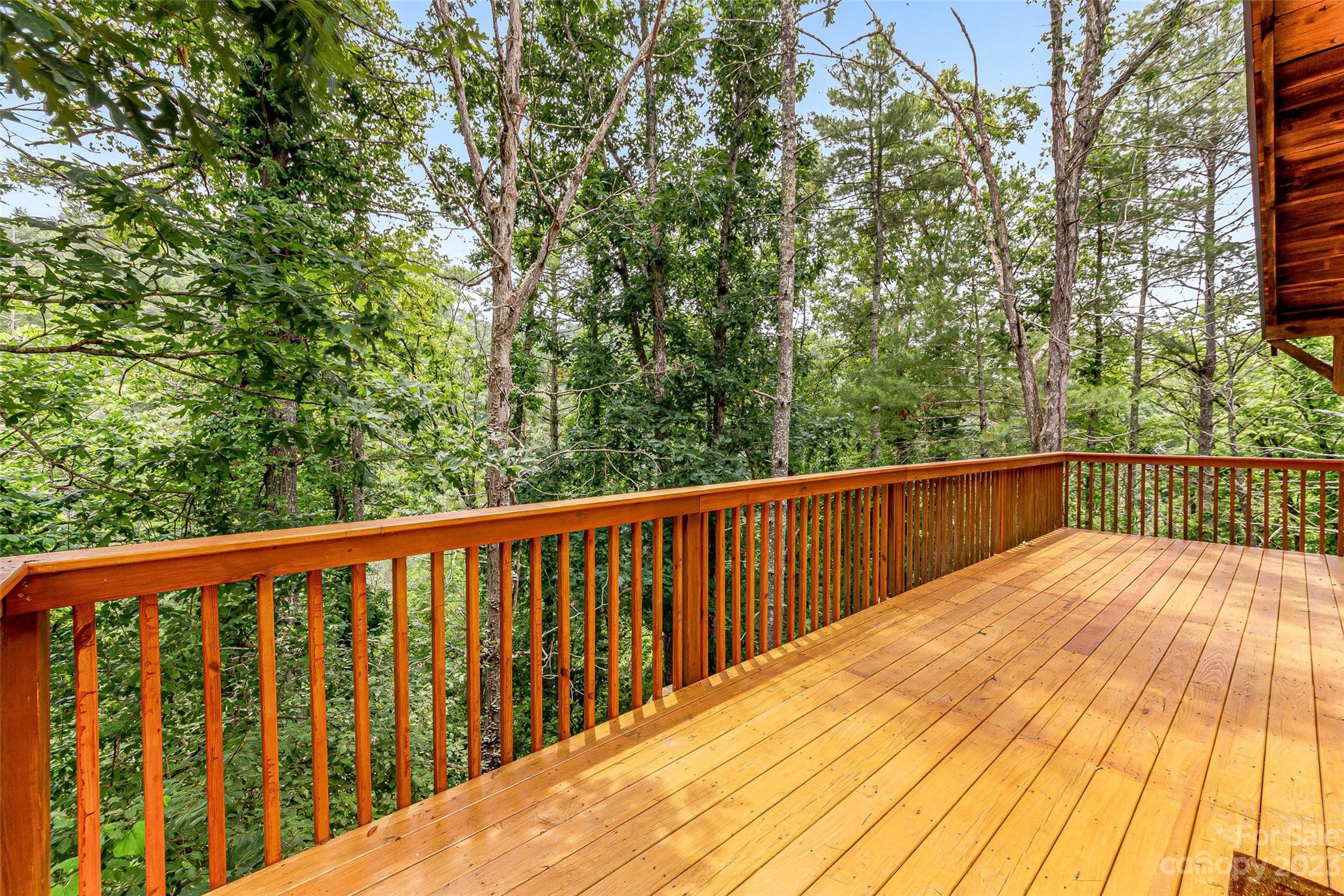 26 Edna Roberts Road Weaverville, NC 28787 - Photo 16 of 30 Gallery Image 16
