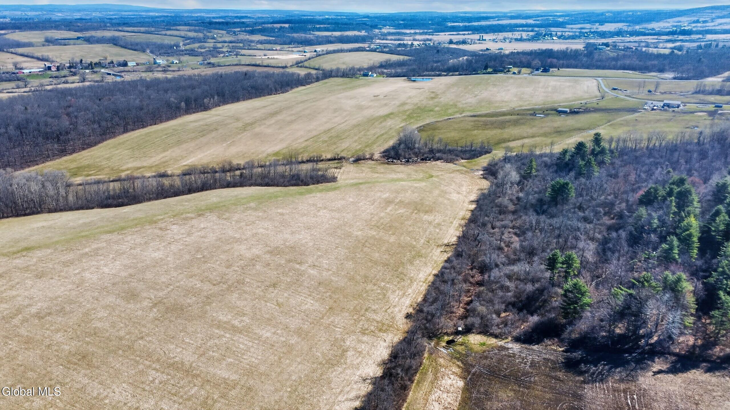 242 Macphail Road Canajoharie, NY 13317 - Photo 89 of 98 DJI_0532