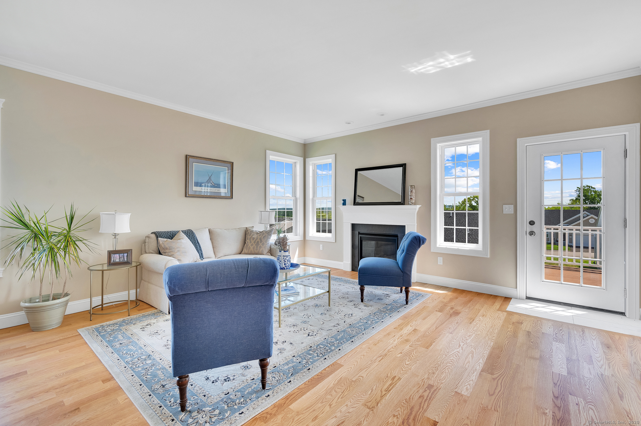 128 Webster Lane Middletown, CT 06457 - Photo 11 of 21 a living room with furniture a fireplace and a potted plant