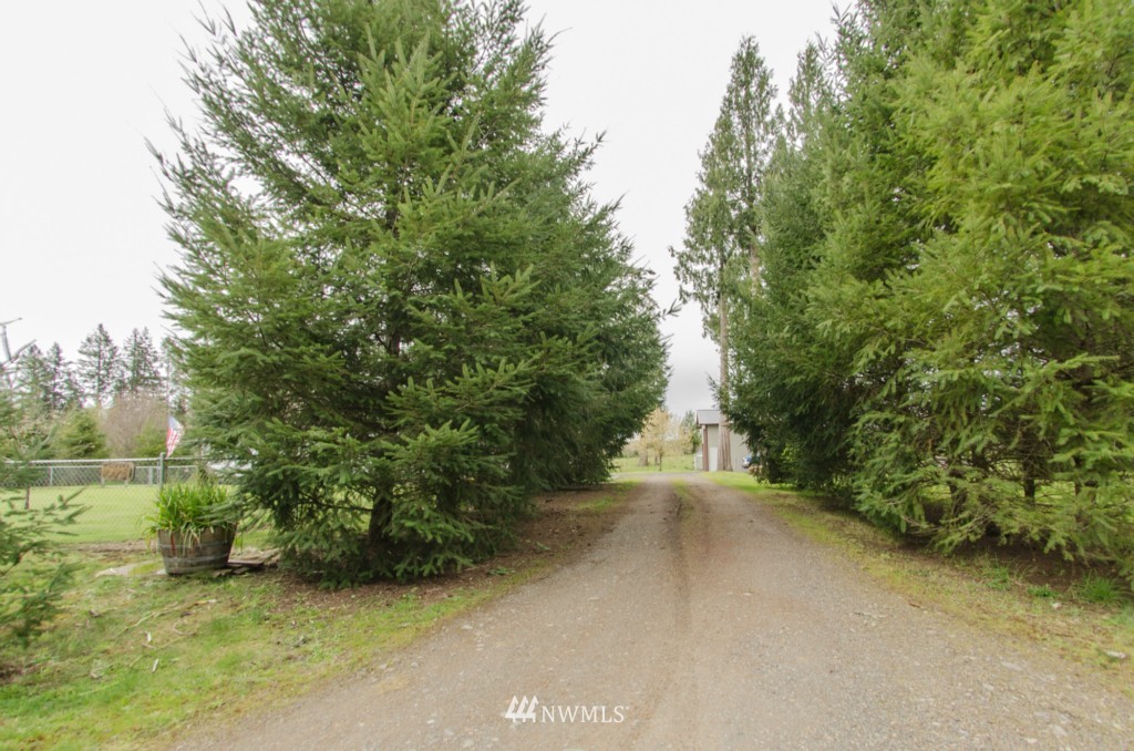 197 Grimes Road Toledo, WA 98591 - Photo 15 of 25