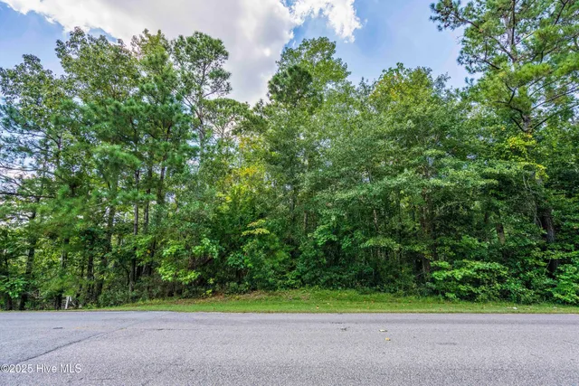 $175,000 | 109 C Corcus Ferry Road, Hampstead, NC 28443