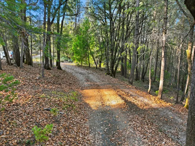 a view of outdoor space with trees