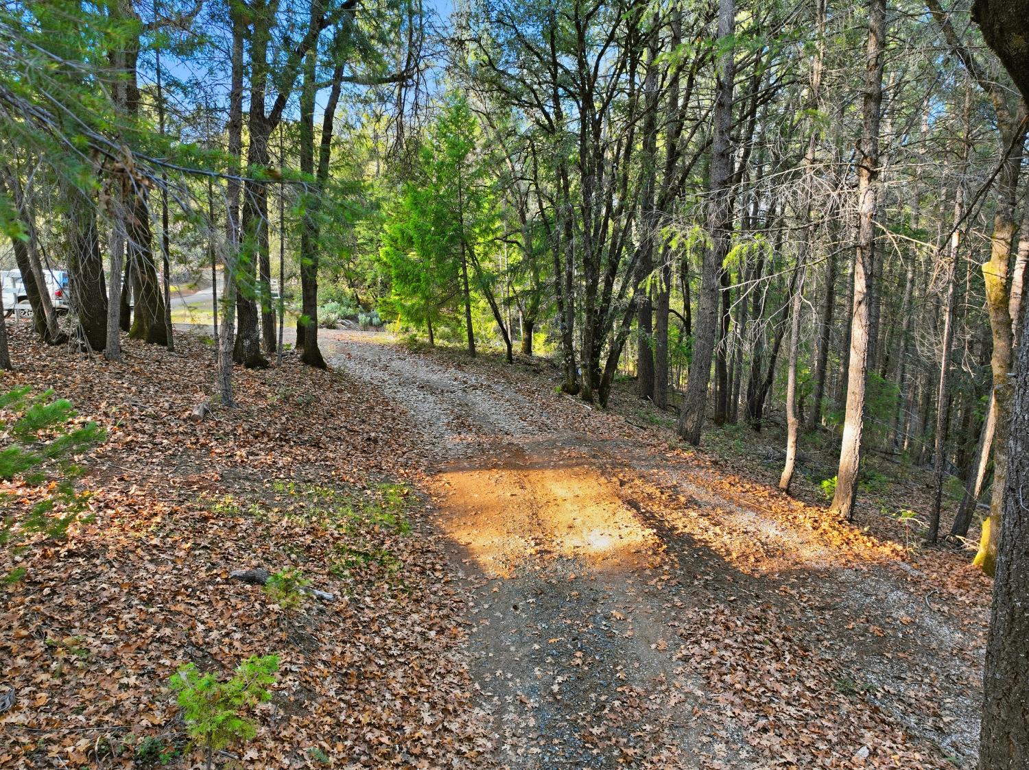 17631 Greenhorn Road Grass Valley, CA 95945 - Photo 14 of 18 a view of outdoor space with trees
