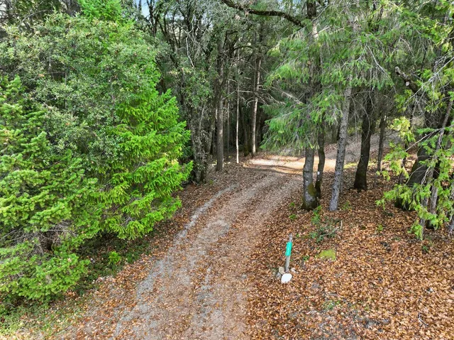 a backyard of a house with lots of green space