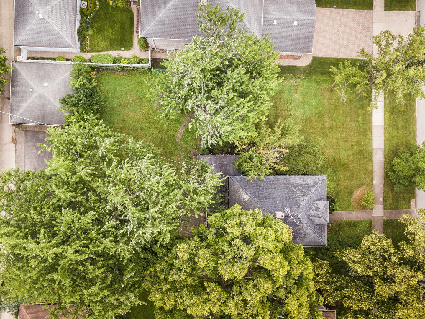 922 Prairie Avenue Park Ridge, IL 60068 - Photo 2 of 12 Gallery Image 2