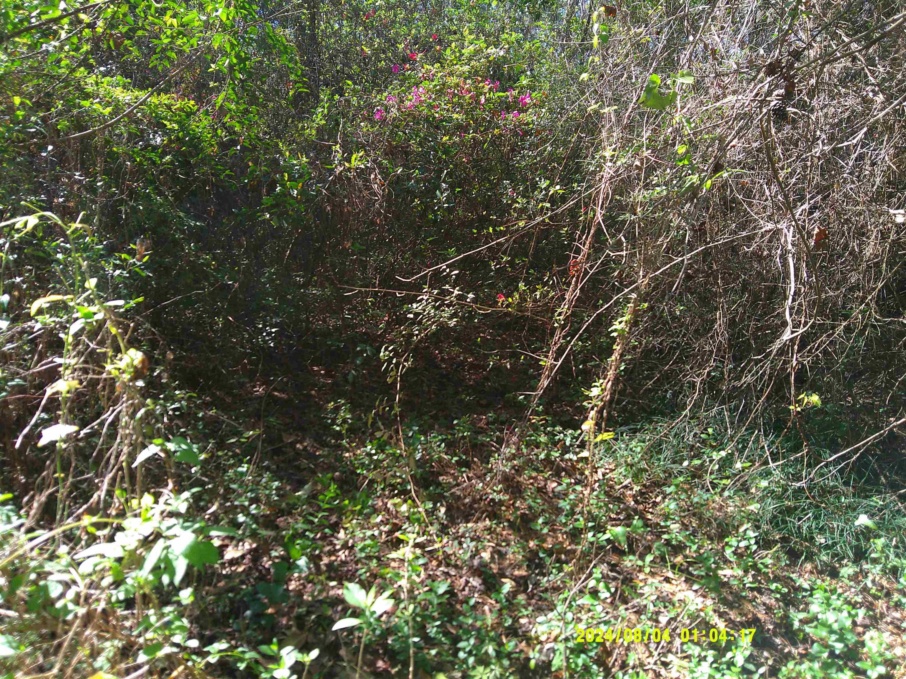7091 Thomasville Road Tallahassee, FL 32312 - Photo 46 of 51