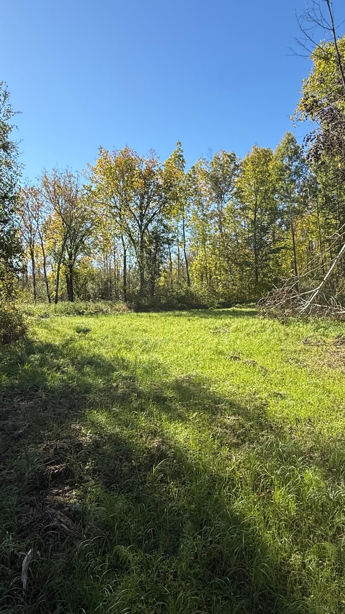 Parcel A Sunflower Road Northeast Kelliher, MN 56650 - Photo 9 of 36 Gallery Image 9