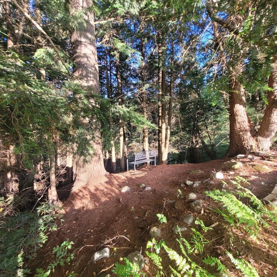 713 South Hill Road Ludlow, VT 05149 - Photo 15 of 19