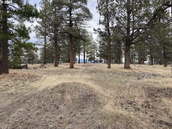 $25,000 | Undisclosed Address, Bonanza, OR 97623