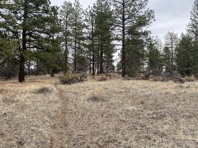 $47,500 | Undisclosed Address, Bonanza, OR 97623
