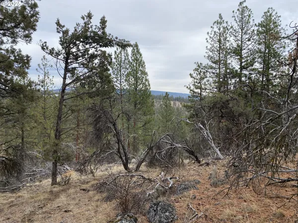 $25,000 | Undisclosed Address, Bonanza, OR 97623