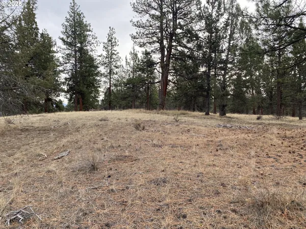 $25,000 | Undisclosed Address, Bonanza, OR 97623