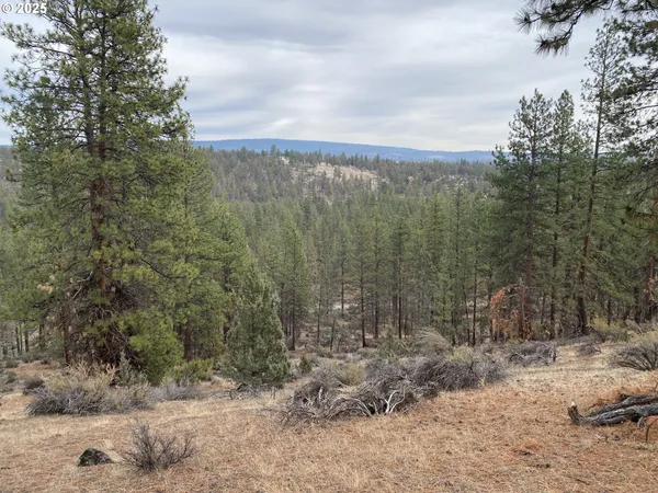 $25,000 | Undisclosed Address, Bonanza, OR 97623