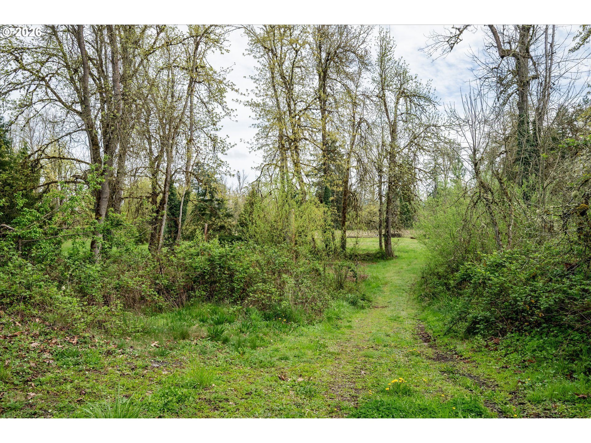 38613 Highway 58 Dexter, OR 97431 - Photo 21 of 30