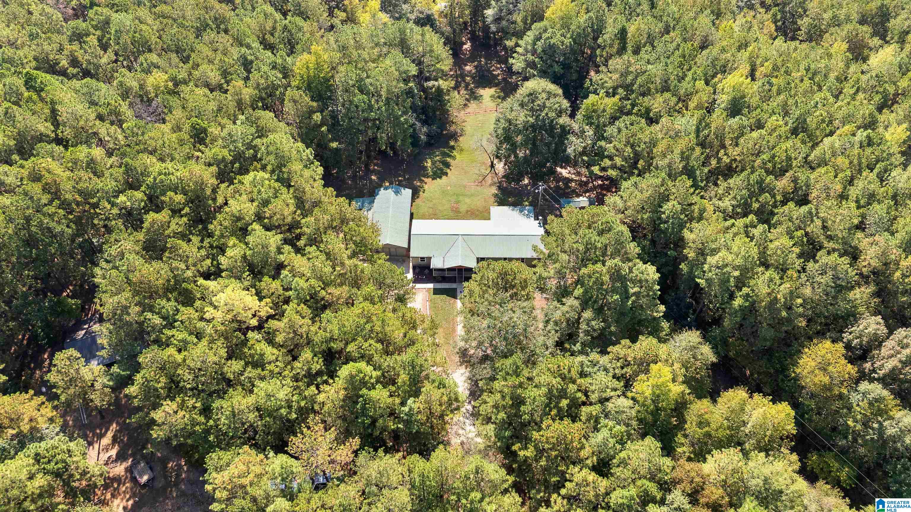 78 County Road 862 Wadley, AL 36276 - Photo 4 of 78