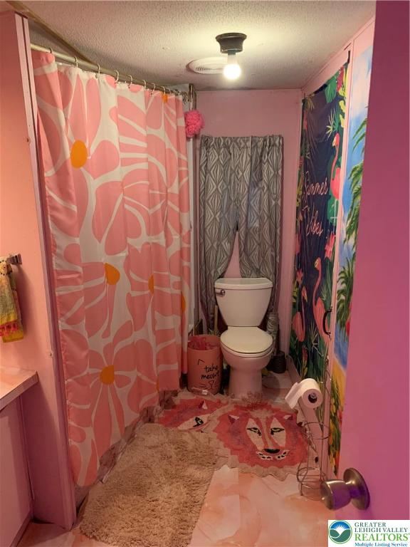 127 Pine Cone Trail Scotrun, PA 18355 - Photo 10 of 24 a bathroom with a toilet and a shower curtain