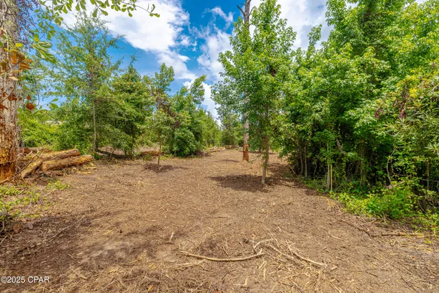 $168,000 | Lot F Osprey Point, Southport, FL 32409