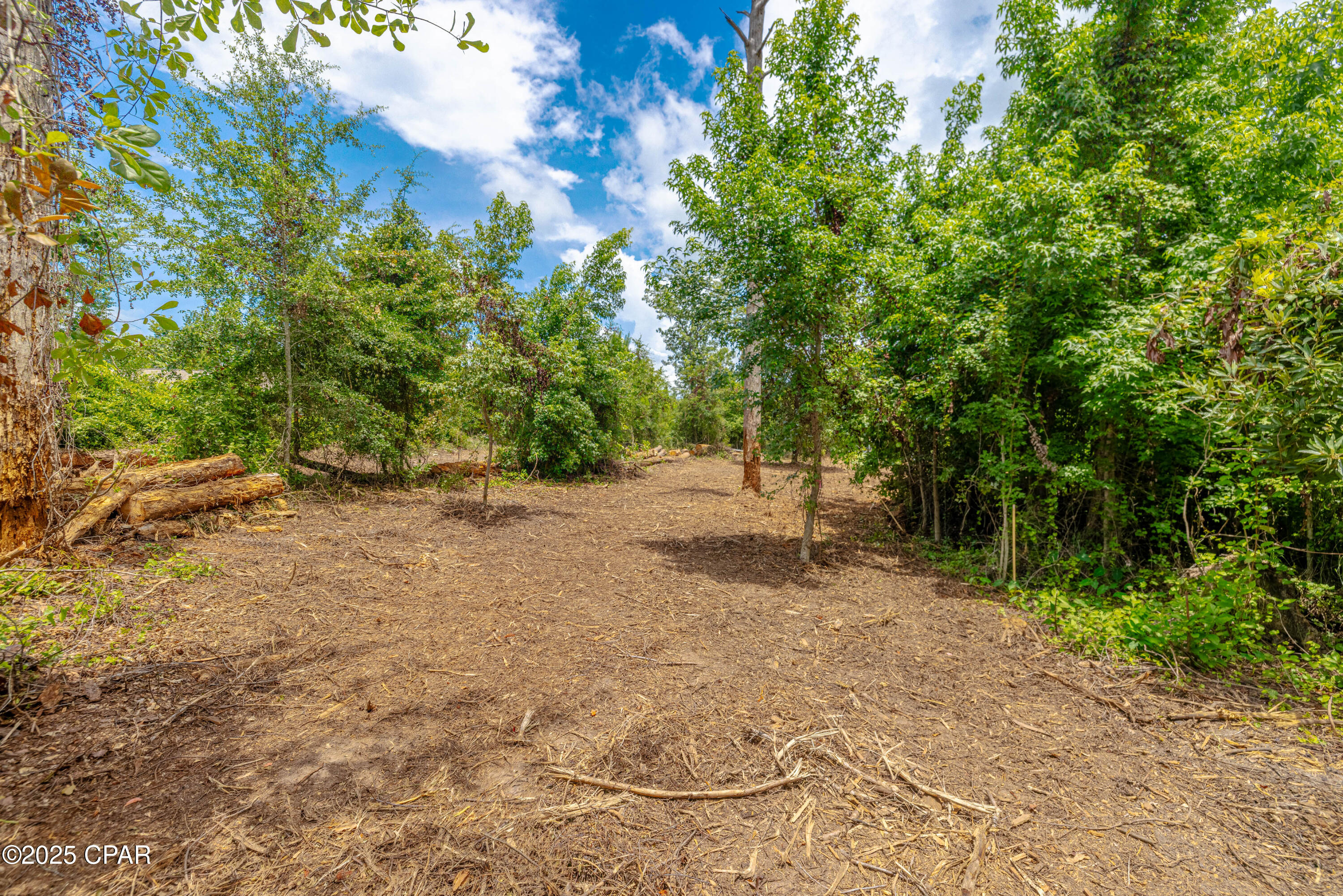 Lot F Osprey Point Southport, FL 32409 - Photo 5 of 25