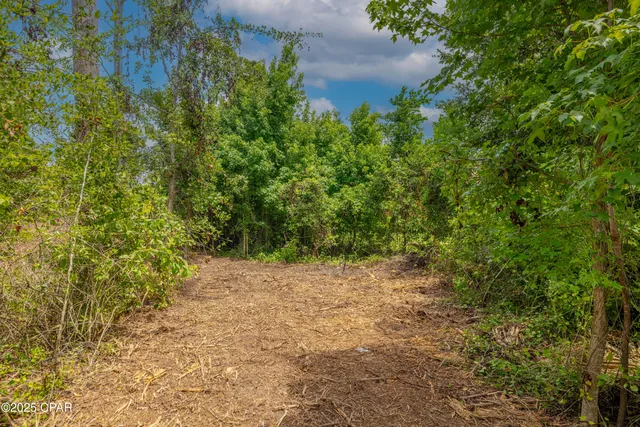 $168,000 | Lot F Osprey Point, Southport, FL 32409