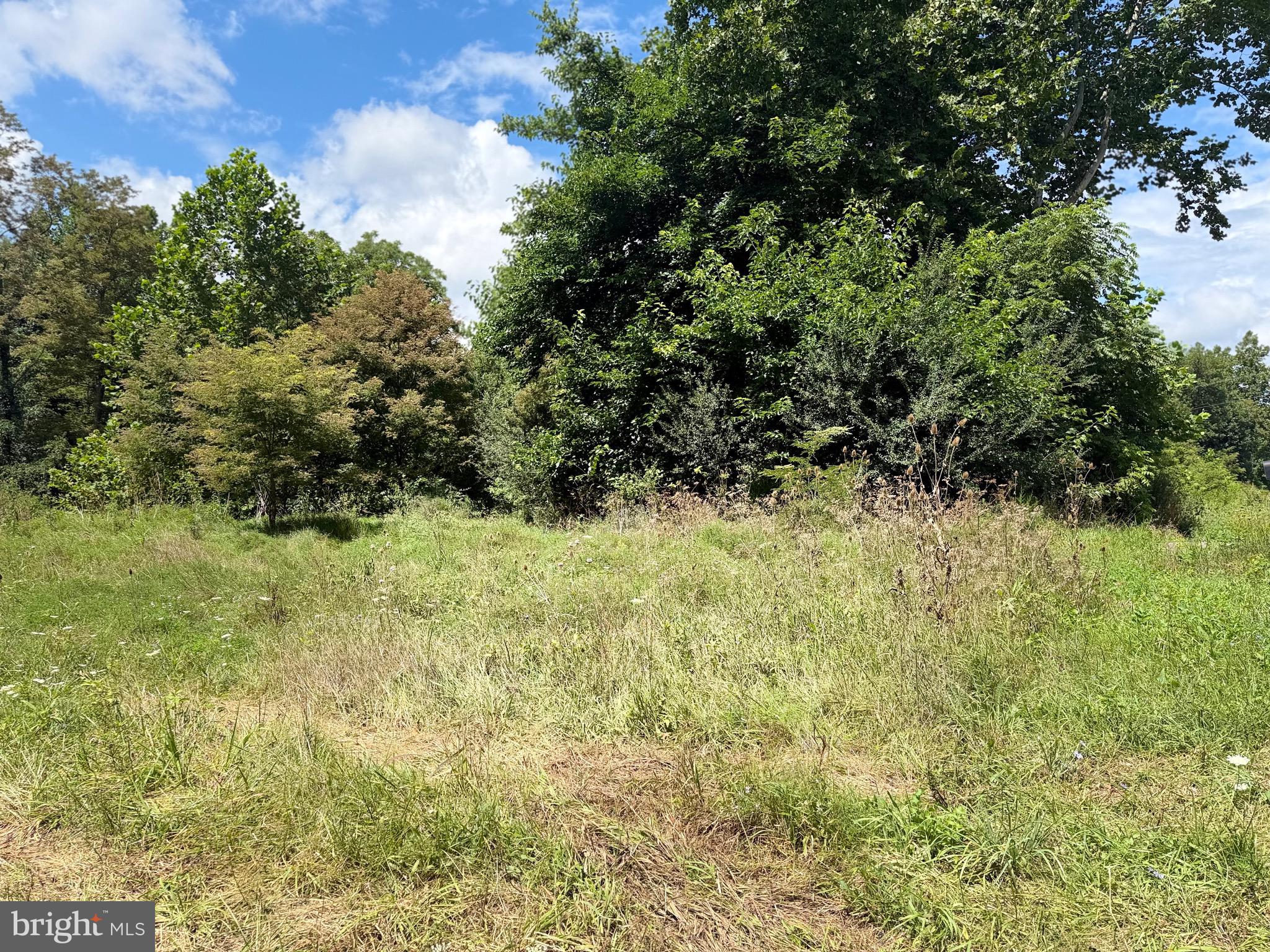 Laurel Dale Road New Creek, WV 26743 - Photo 5 of 17 Gallery Image 5