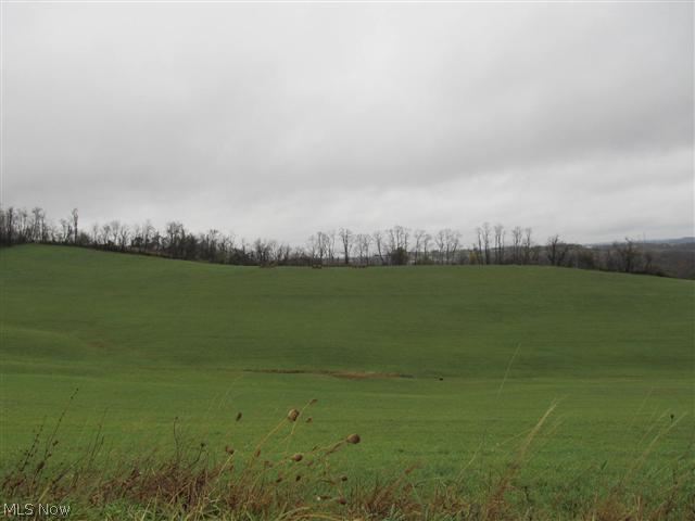 51990 Methodist Ridge Road St. Clairsville, OH 43950 - Photo 22 of 22 Gallery Image 22