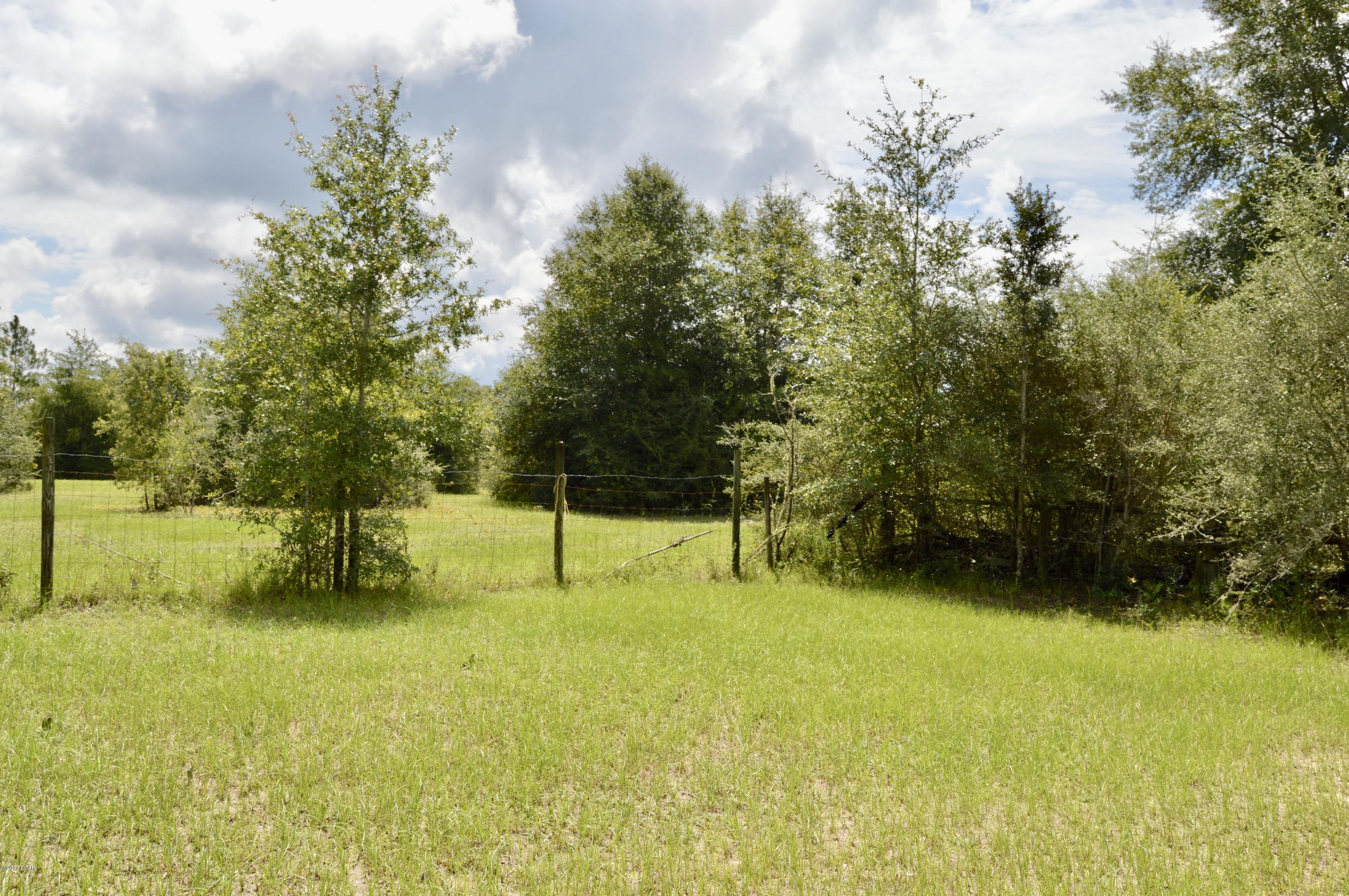 20234 Duffy Road Fountain, FL 32438 - Photo 5 of 20 Gallery Image 5