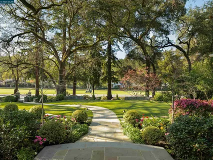 a view of a park with large trees