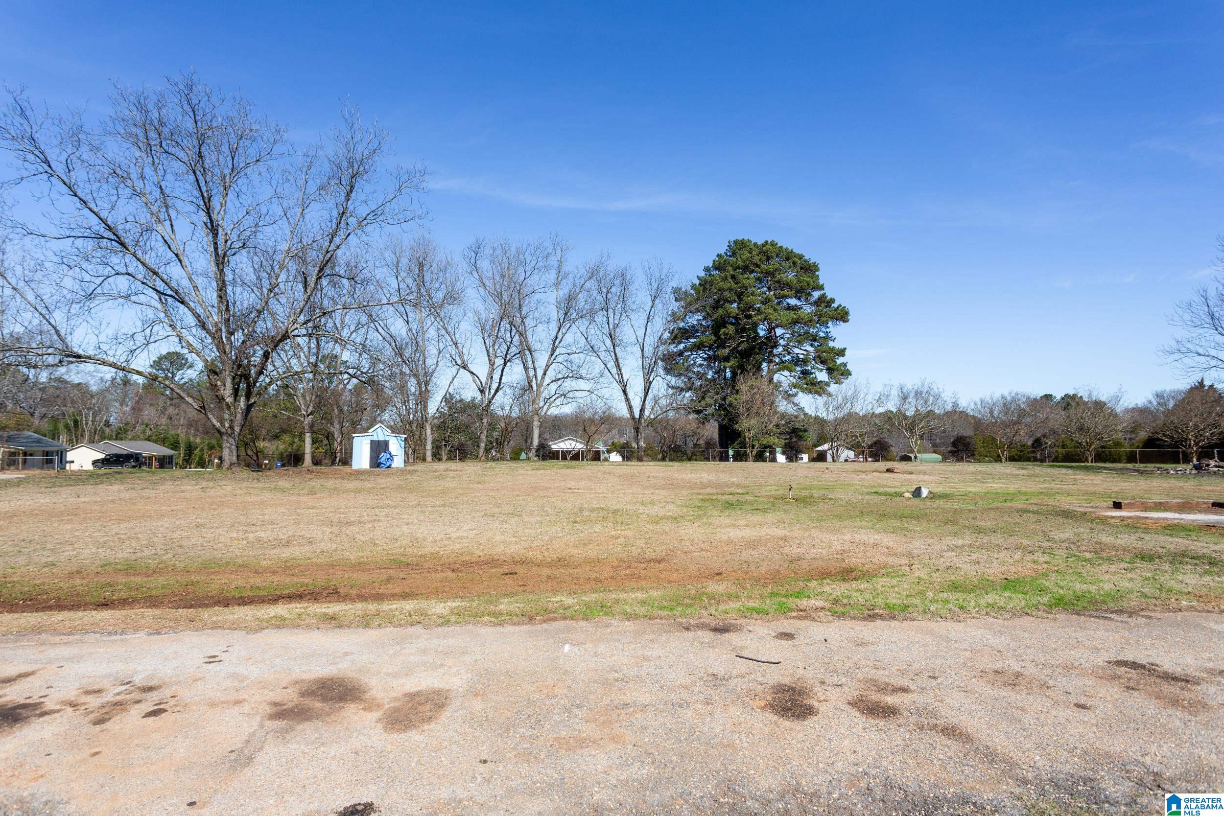 866 Beck Road Eastaboga, AL 36260 - Photo 20 of 30