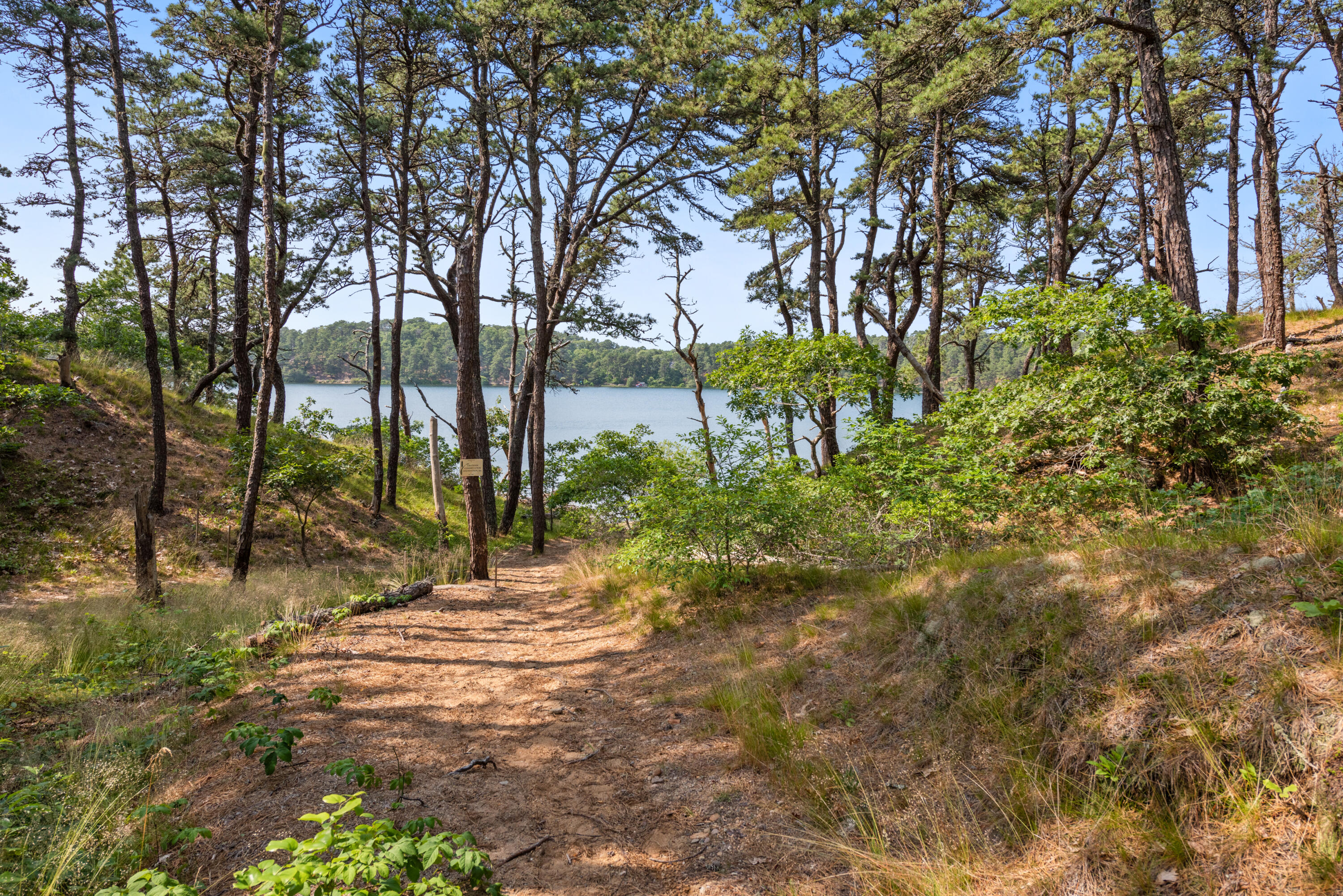 17 Goose Pond Road Chatham, MA 02633 - Photo 22 of 31 Goose Pond