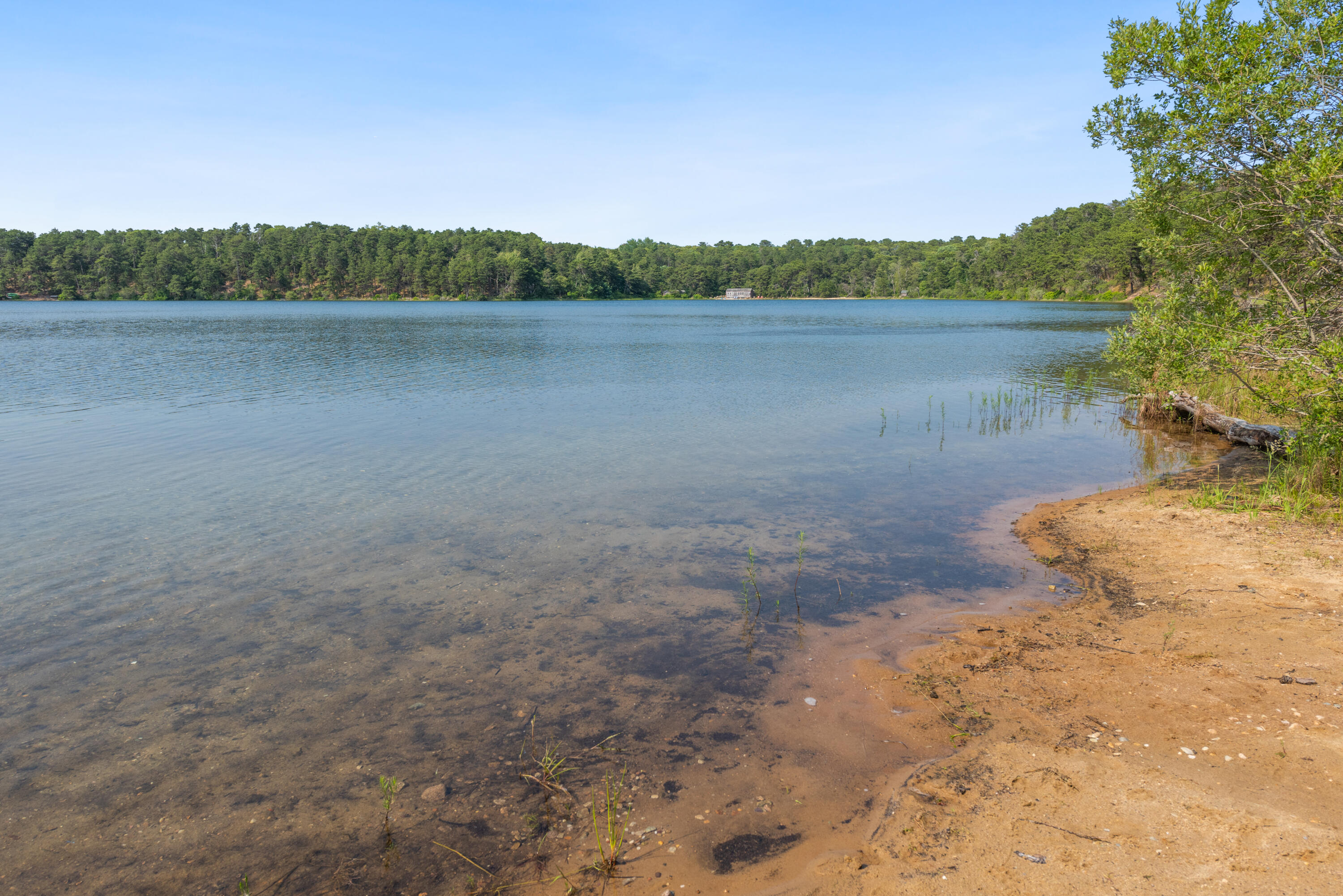17 Goose Pond Road Chatham, MA 02633 - Photo 26 of 31 Goose Pond
