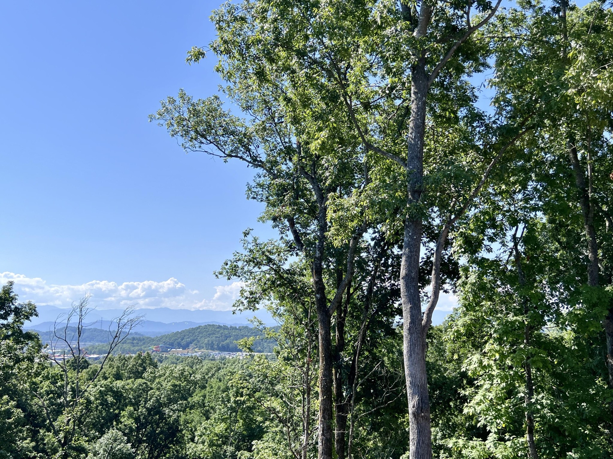 26 Reedmont Way Sevierville, TN 37876 - Photo 14 of 14
