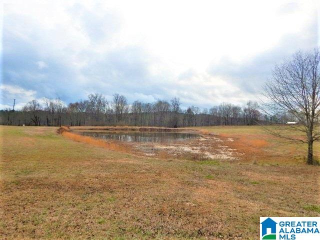 1777 Deaver Walker Road Cleveland, AL 35049 - Photo 21 of 21