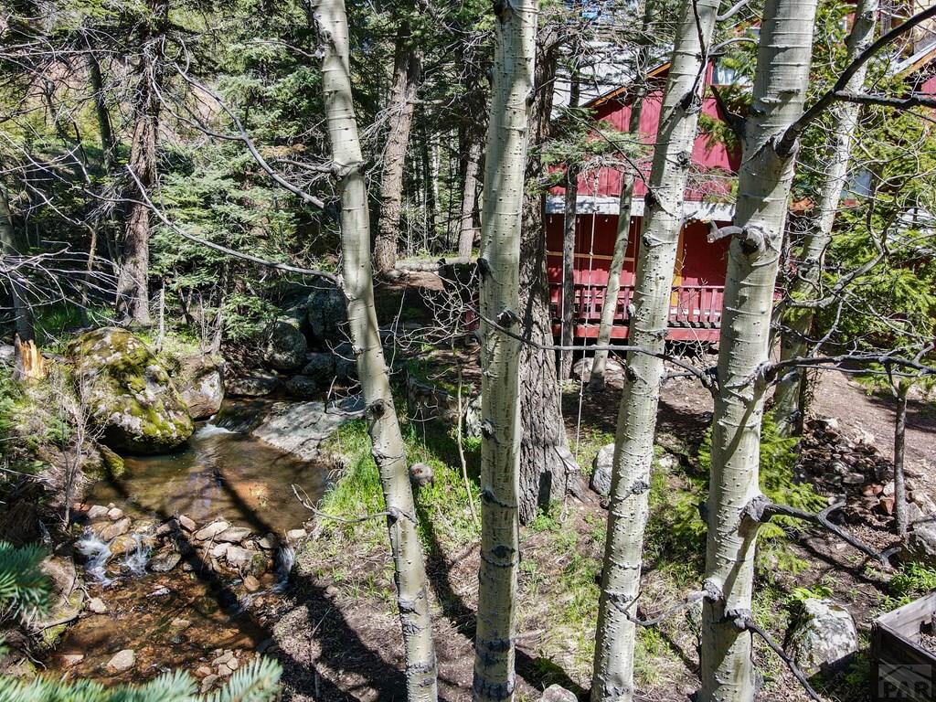 18450 Highway 165 Rye, CO 81069 - Photo 2 of 20