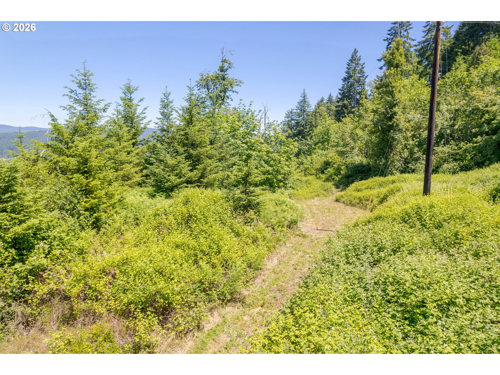 8563 McKenzie Highway Springfield, OR 97478 - Photo 30 of 35