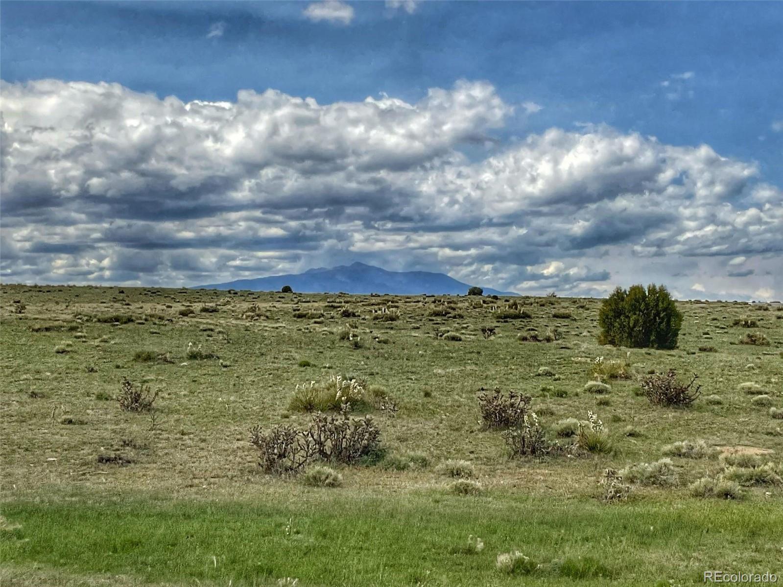 1 Rio Cucharas Phase Walsenburg, CO 81089 - Photo 11 of 11 a view of a bunch of trees and bushes
