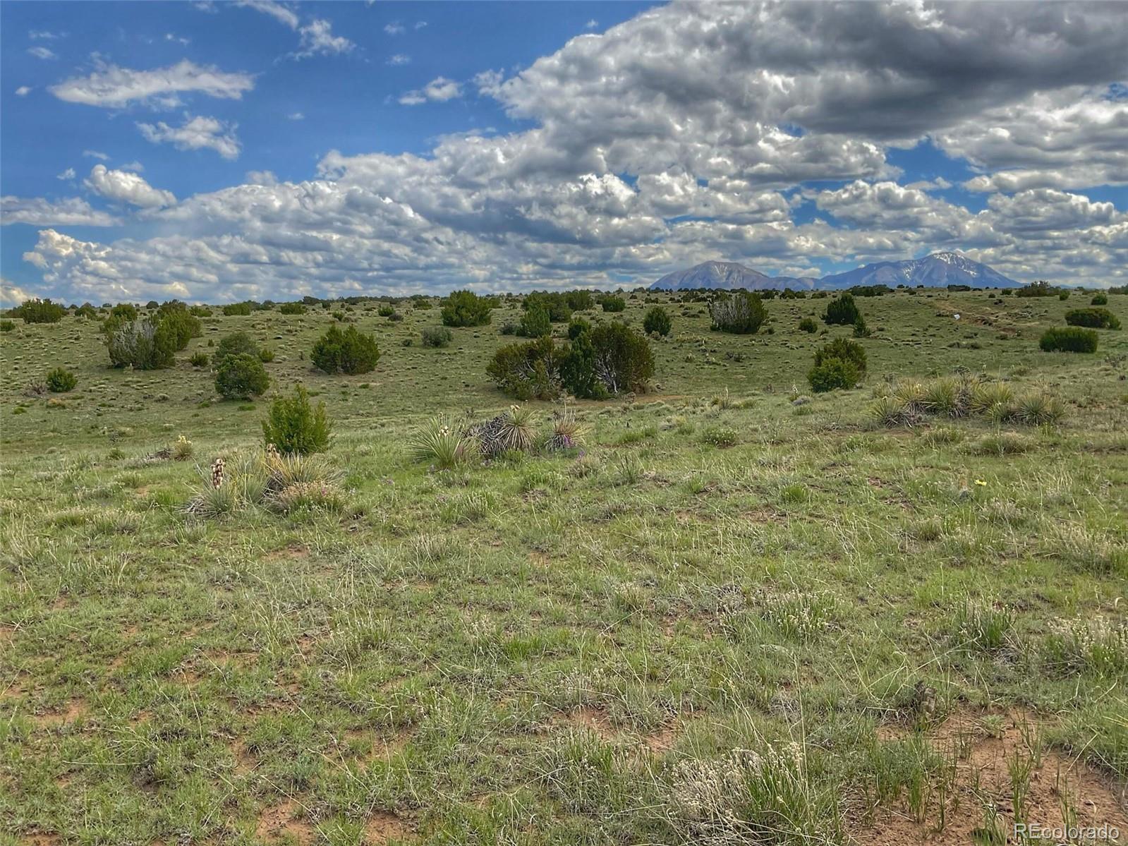 1 Rio Cucharas Phase Walsenburg, CO 81089 - Photo 3 of 11 a view of a bunch of trees in all around