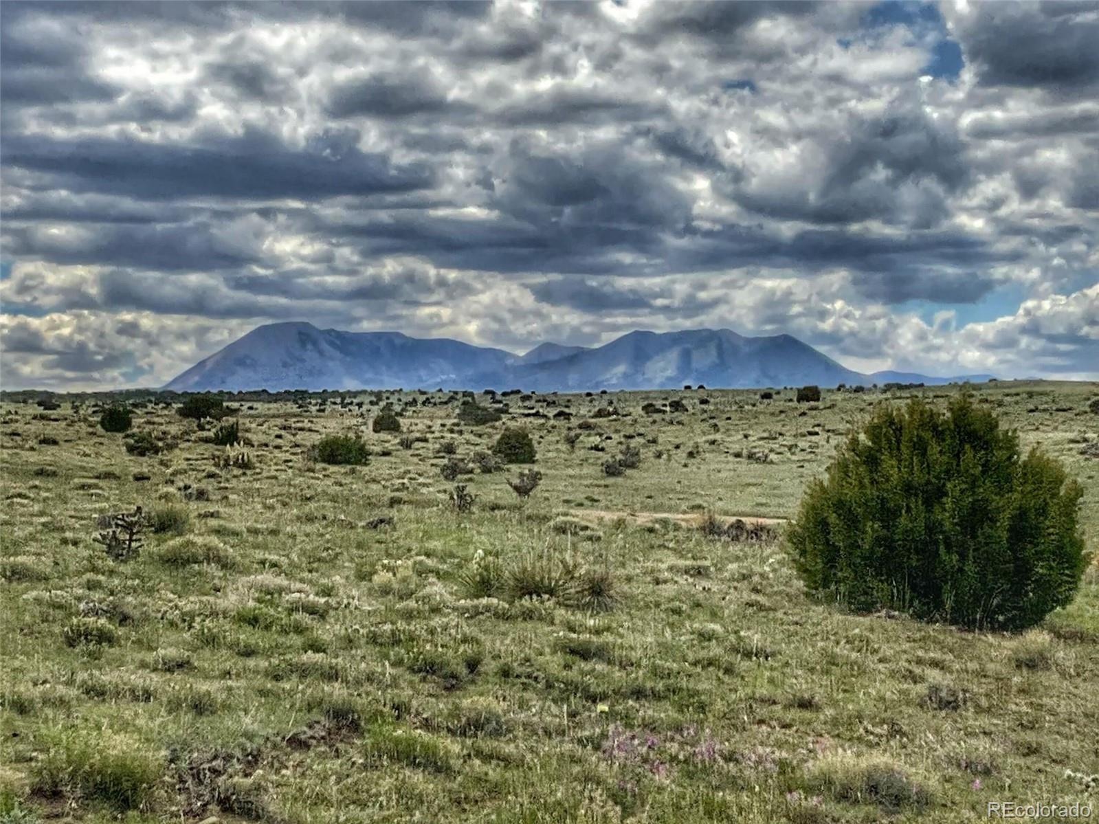 1 Rio Cucharas Phase Walsenburg, CO 81089 - Photo 6 of 11 a view of a bunch of trees and bushes