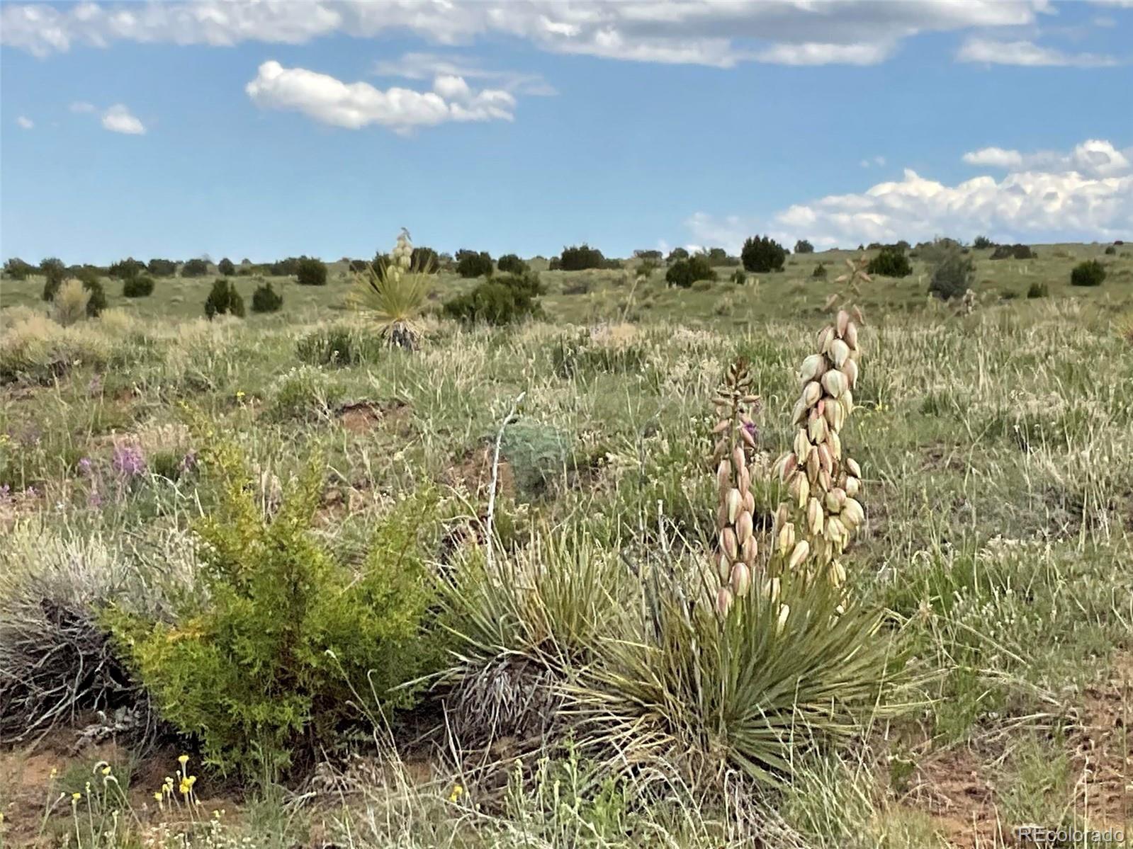 1 Rio Cucharas Phase Walsenburg, CO 81089 - Photo 7 of 11 a view of a bunch of trees and houses