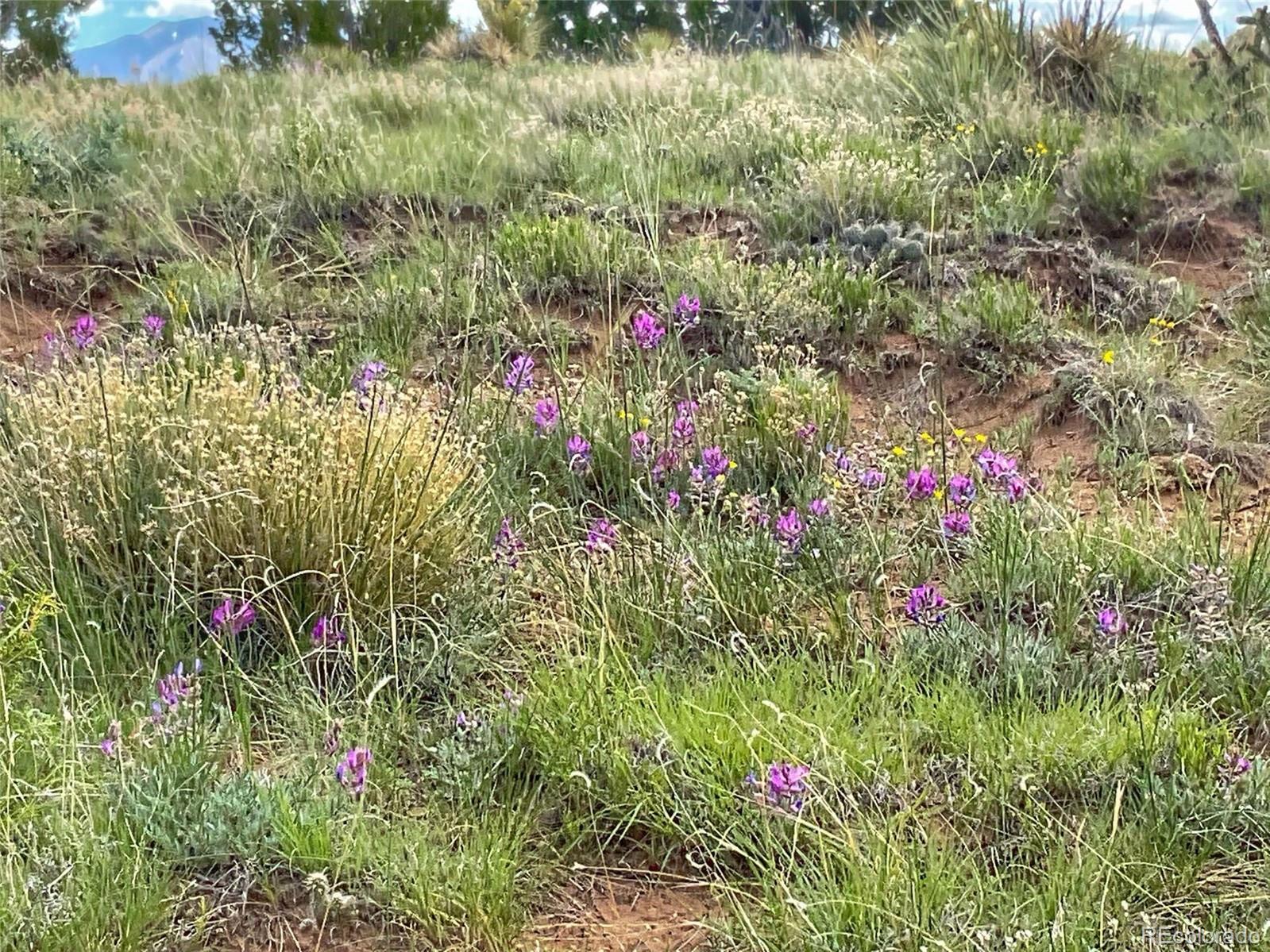 1 Rio Cucharas Phase Walsenburg, CO 81089 - Photo 8 of 11