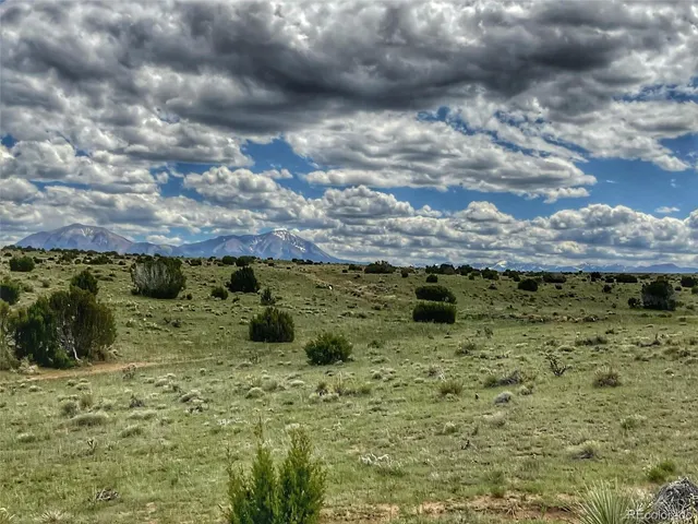 a view of a bunch of trees and bushes