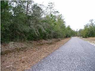 0 Clint Mason Road Crestview, FL 32539 - Photo 1 of 4 Primary Photo