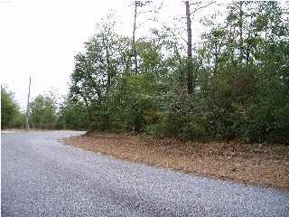 0 Clint Mason Road Crestview, FL 32539 - Photo 2 of 4 Additional Photo