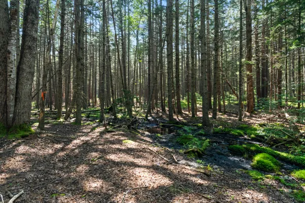 $159,000 | 2 Allen Point Road, Harpswell, ME 04079