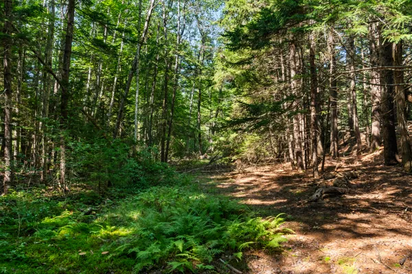 $159,000 | 2 Allen Point Road, Harpswell, ME 04079