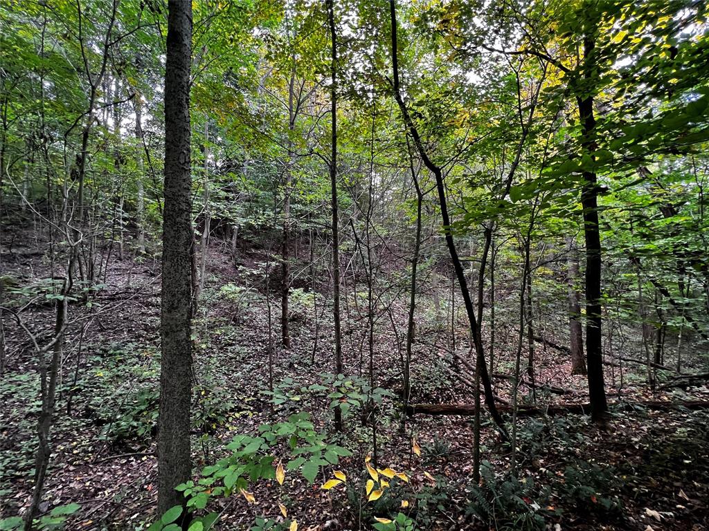 6901 Atkinsonville Road Poland, IN 47868 - Photo 20 of 41