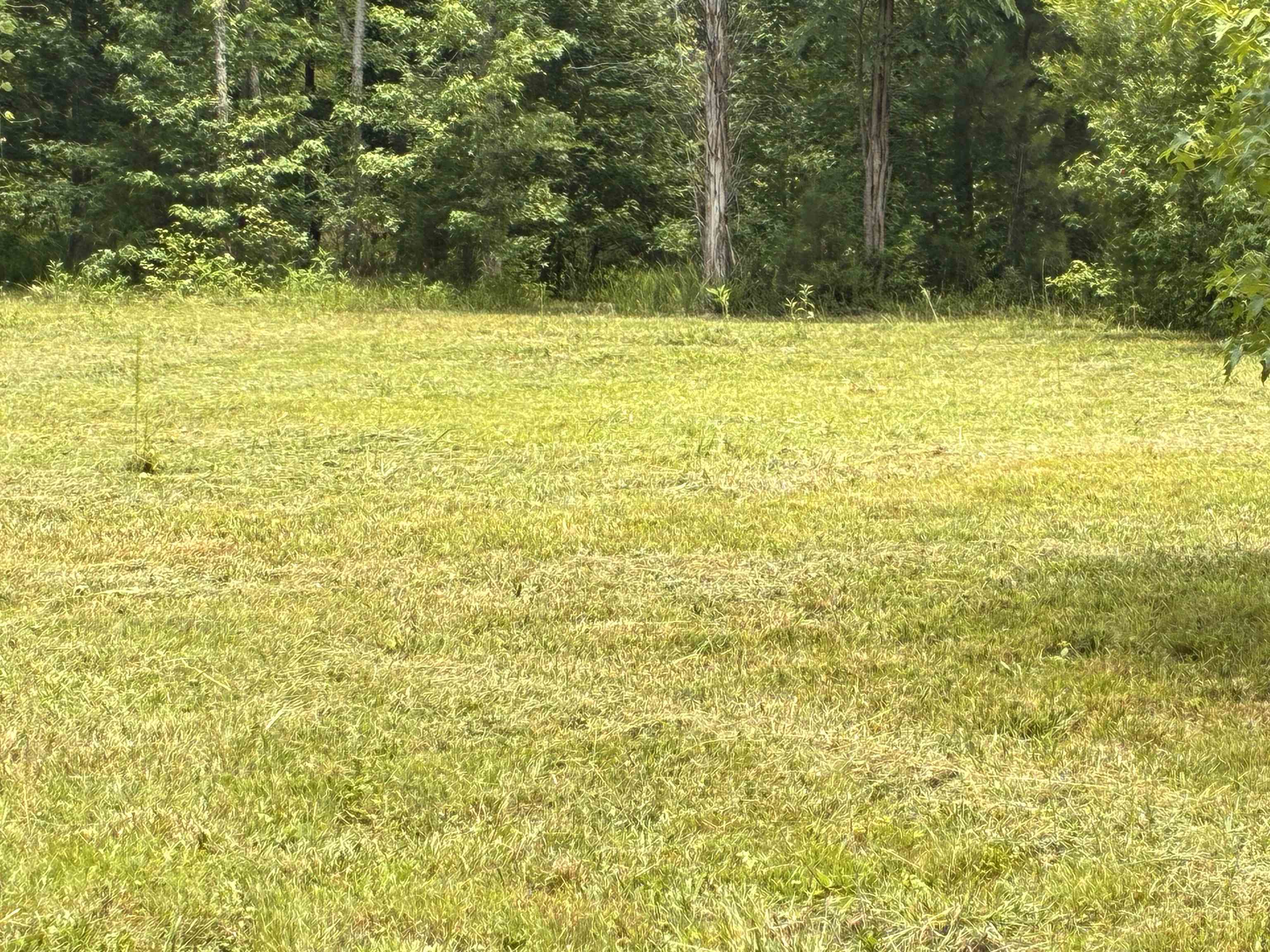 Lot 2 State Rd S-11-54 Gaffney, SC 29340 - Photo 7 of 13