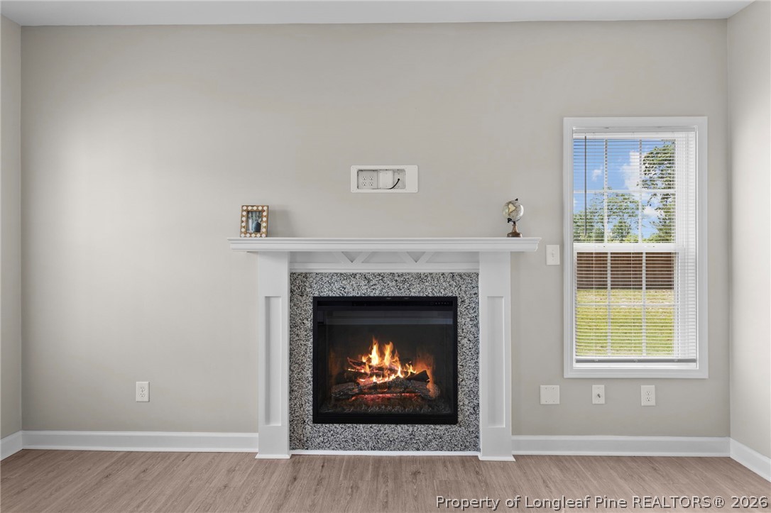 388 Dundee Farm Road Raeford, NC 28376 - Photo 8 of 41